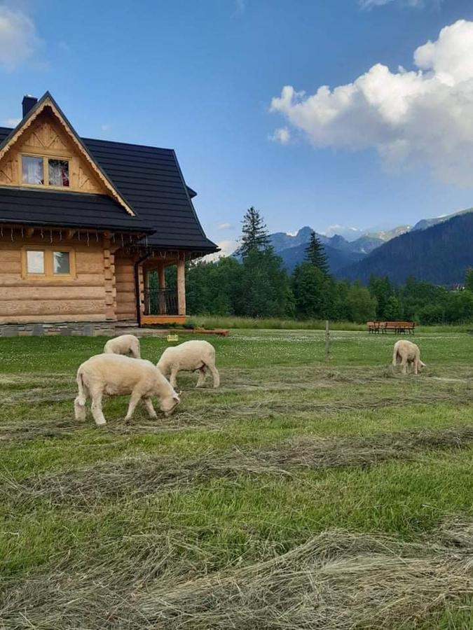 Domek W Raju Koscielisko Bagian luar foto